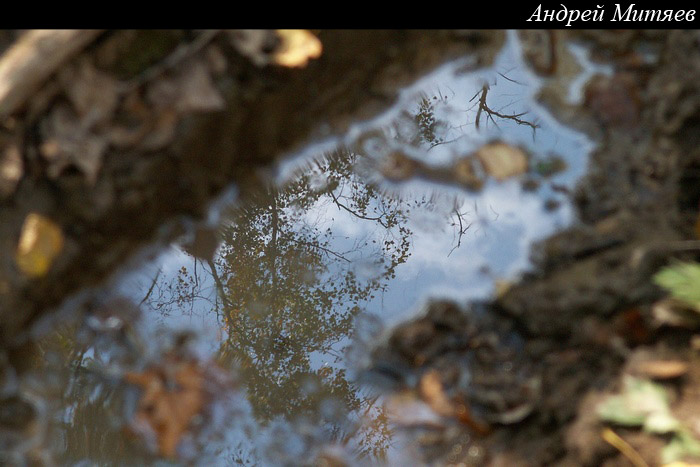 PICT5521_cr.jpg (700x467, 87Kb)