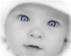 baby.gif (100x80, 5Kb)