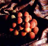 lychee.jpg (160x155, 6Kb)