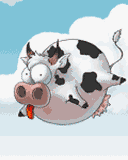 031210flyingcow2.gif (128x160, 14Kb)