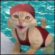 902535_kot122.jpg (110x110, 4Kb)