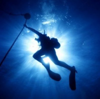 diver1.jpg (200x198, 19Kb)