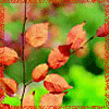 avatar10736_7.gif (100x100, 9Kb)