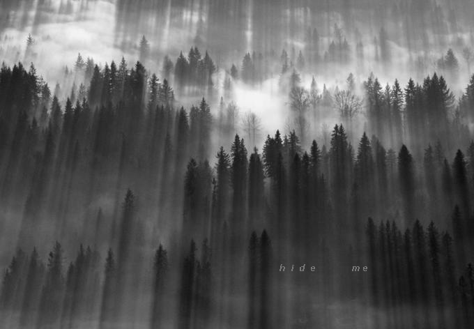 hide.jpg (680x472, 58Kb)