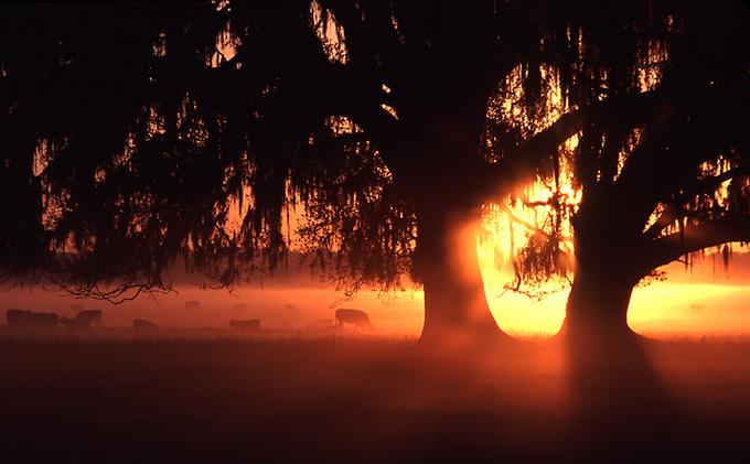 3948074-md.jpg (680x421, 34Kb)