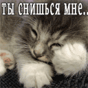 .gif (128x128, 9Kb)