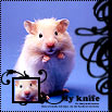 5305368.jpg (103x103, 5Kb)
