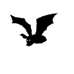 19.gif (150x150, 3Kb)