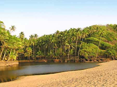 goa.jpg (450x334, 21Kb)