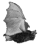 33.gif (180x180, 21Kb)