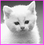4630252_4629753_870601_7236141.gif (143x146, 80Kb)