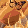 pap.gif (95x96, 4Kb)