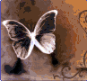 papillon2.gif (97x90, 4Kb)