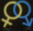 xy.jpg (128x120, 4Kb)