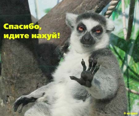 3332668_evrei.jpg (450x377, 26Kb)