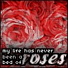 rosebed.jpg (100x100, 6Kb)