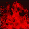 54709_411501.gif (100x100, 19Kb)