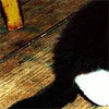 4657860_krasotocka.gif (100x100, 38Kb)