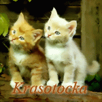 4663450_4659814_3438106.gif (150x150, 20Kb)