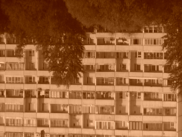 CIMG0620.JPG (700x525, 236Kb)
