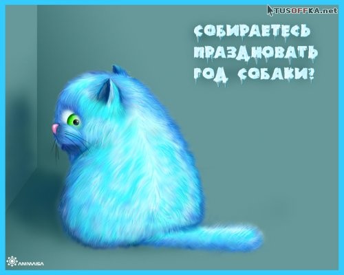 4631935_kot.jpg (500x400, 31Kb)