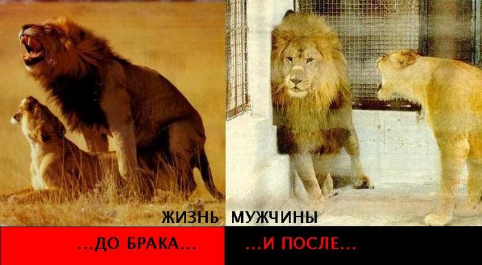 http://img.liveinternet.ru/images/attach/1/4698/4698468_3445071roj.jpg