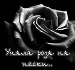 .gif (150x139, 59Kb)
