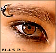 3918195_BILLS.gif (116x110, 12Kb)