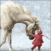 ng_av_2006_8.gif (170x170, 19Kb)