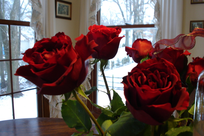 DSC00728.JPG (699x466, 276Kb)