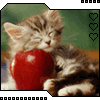 840219_920874.gif (100x100, 11Kb)