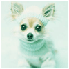 4506675_3125344_365863_546588.gif (100x100, 8Kb)