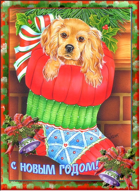 card4-b.jpg (455x622, 146Kb)