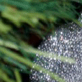 happy-new-year-.gif (120x120, 88Kb)