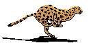 128b.gif (133x63, 6Kb)