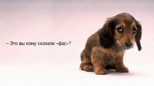 3341497_0015001F2E0D.jpg (300x168, 5Kb)
