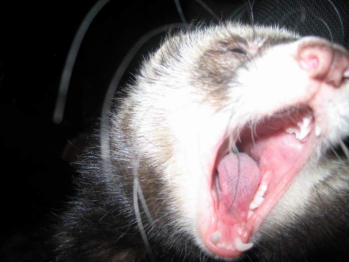 .JPG (700x525, 38Kb)