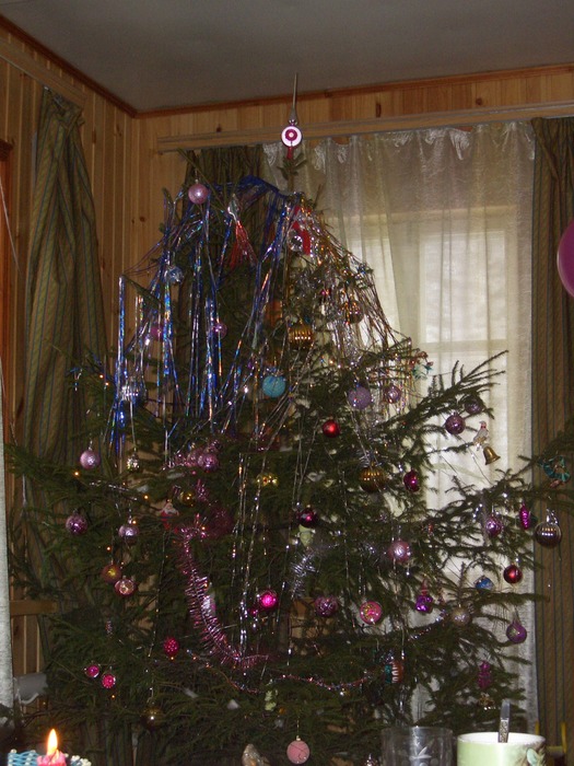 CIMG0977.JPG (525x700, 169Kb)