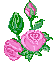123960.jpg (53x75, 3Kb)