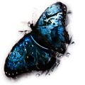  (120x120, 14Kb)