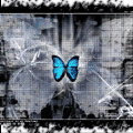  (120x120, 31Kb)