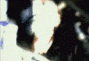  (90x61, 31Kb)