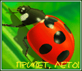  (120x103, 9Kb)