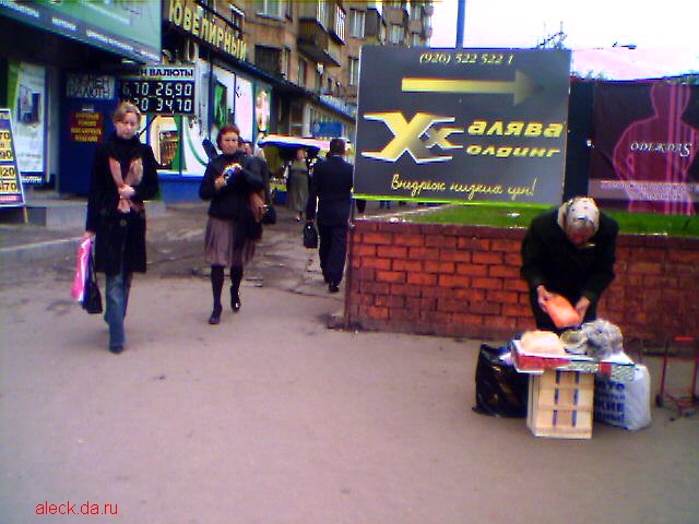  (640x480, 204Kb)