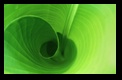  (122x80, 4Kb)
