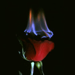  (150x150, 15Kb)