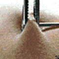  (120x120, 89Kb)