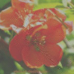 (150x150, 54Kb)