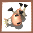 (110x110, 31Kb)