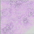  (120x120, 442Kb)